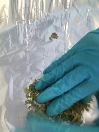 Pulverizando el Pronto Alivio