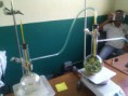 /album/avance-proyecto-1/img-20140725-112554-jpg/