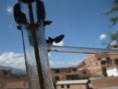 /album/avance-proyecto-2/img-2393-jpg/